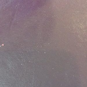 Meet your Posher, Tony